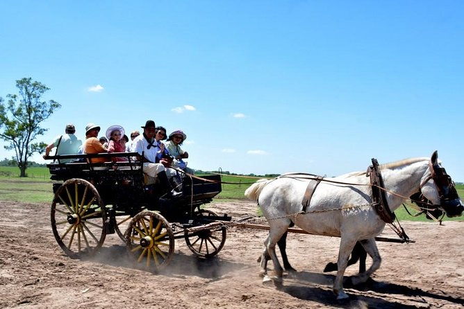 gaucho-day-tour-santa-susana-estancia-from-buenos-aires
