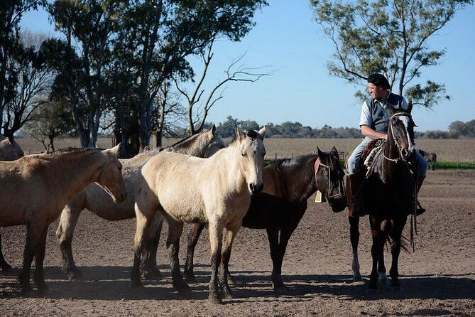gaucho-day-tour-santa-susana-estancia-from-buenos-aires