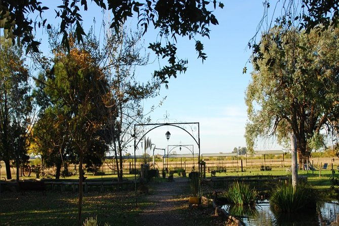 gaucho-festival-at-the-ranch-day-ranch-gaucho-barbecue