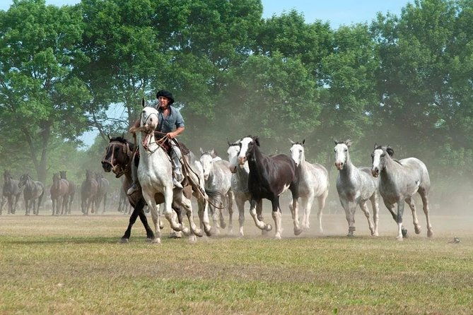 gaucho-fiesta-with-lunch-full-day-tour