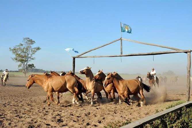 gaucho-fiesta-with-lunch-full-day-tour