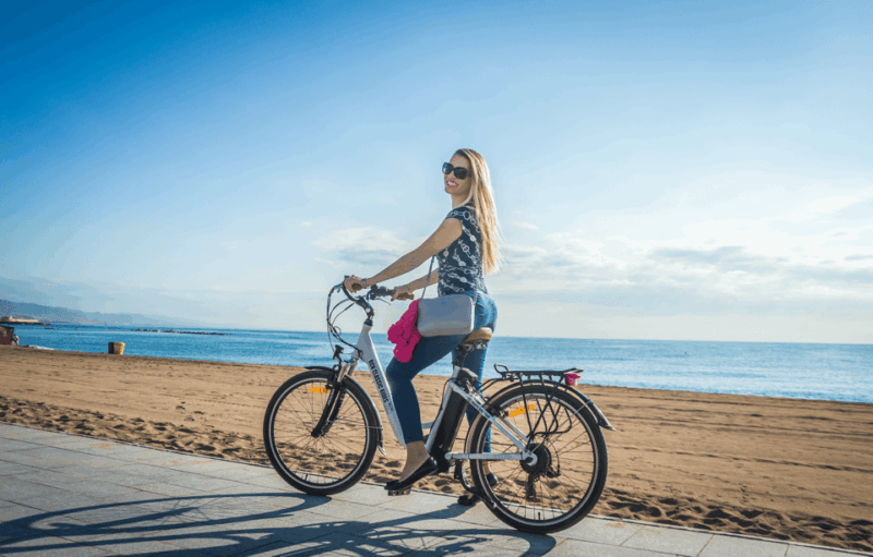 gaudi-essential-sagrada-familiapark-guell-skip-the-line