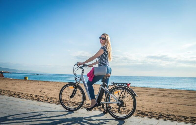 gaudi-essential-sagrada-familiapark-guell-skip-the-line