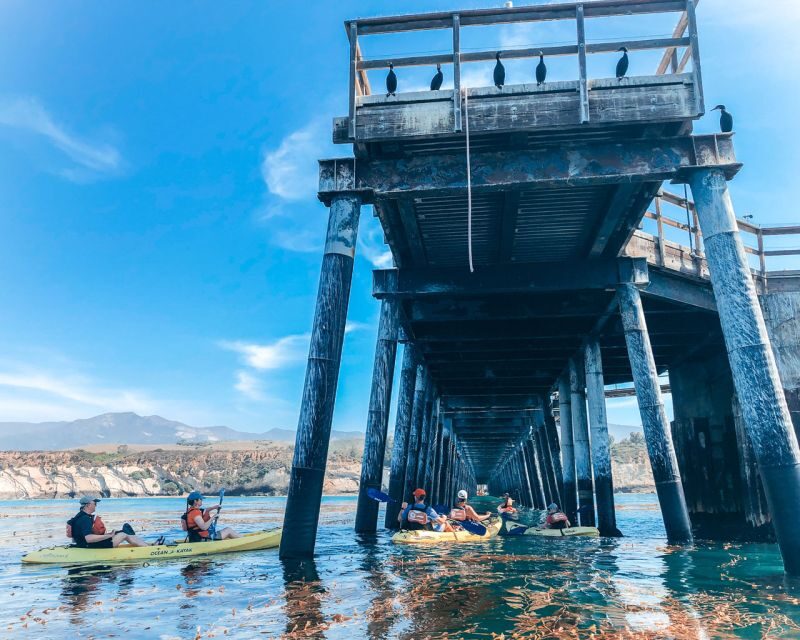 Gaviota Coast Near Santa Barbara: Kayak Tour (3.5 Hours) - Who Will Love This Experience?