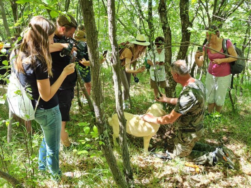 gazon-istria-truffles-hunting-cooking-tasting