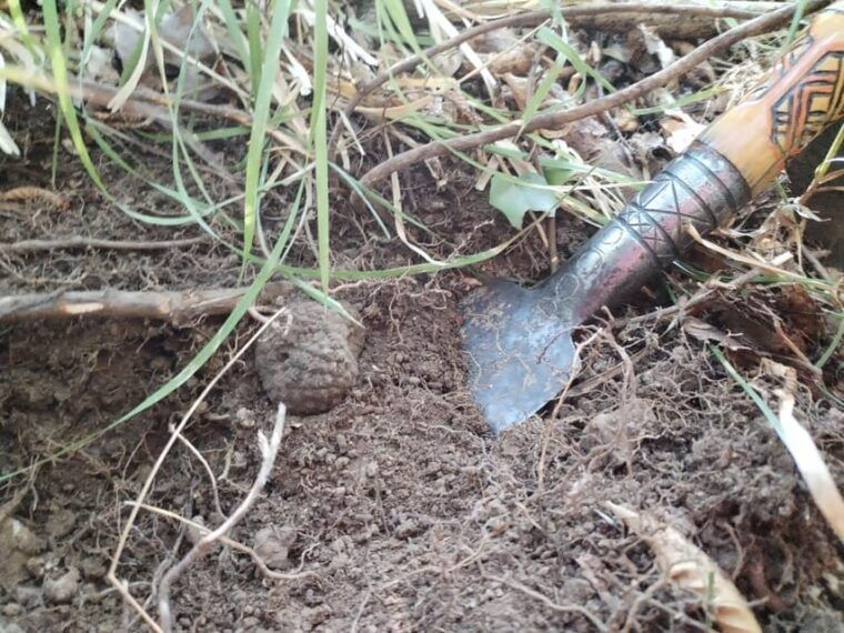 gazon-istria-truffles-hunting-cooking-tasting