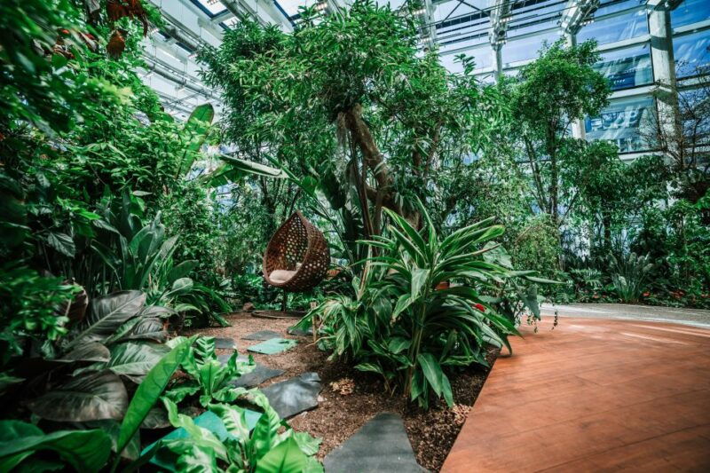 gdansk-olivia-star-panoramic-views-and-olivia-garden-tour