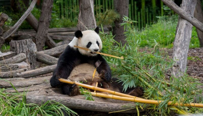 gdansk-oliwa-zoo-with-tickets-and-roundtrip-transportation