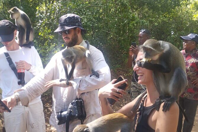 Gede Ruins & Malindi Tour - The Sum Up
