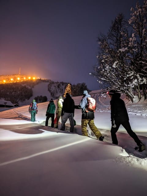 geilo-evening-family-tour-with-sledge-campfire-and-fun