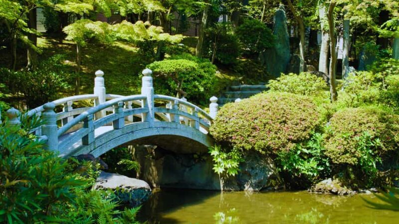 Geisha & Sumo Culture: Tokyo Walking Tour 3 Hrs - A Closer Look at the Experience