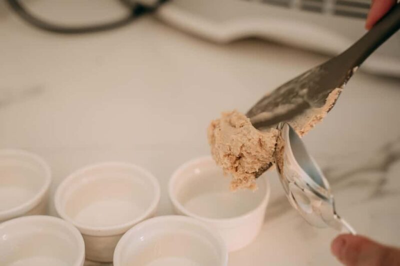 Gelato Making Class in Bologna City center Cooking School - Authentic Insights from Guests