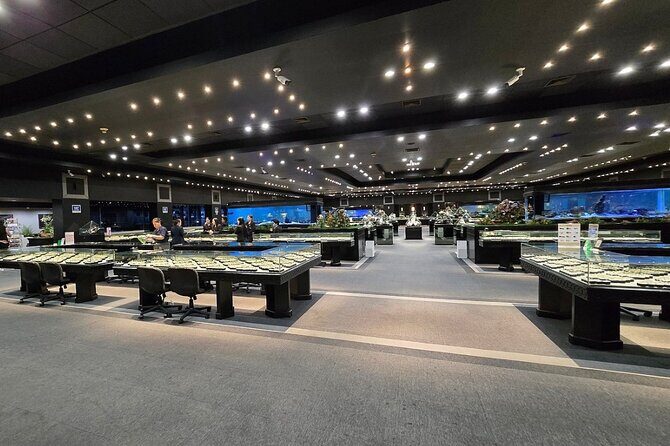 Gems Gallery Chiang Mai with Round Trip Hotel Transfers - Pricing and Value