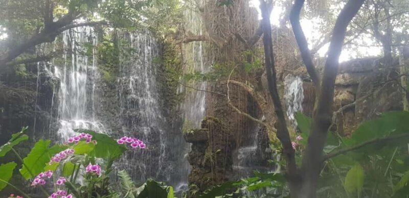 Gems of Chiangmai: Dantewada, Wat Ban den, Sticky Waterfall - Key Points