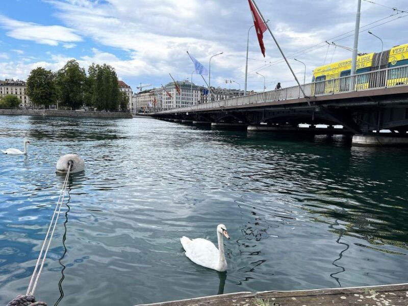 Geneva Complete Tour. Hotel PICK-UP, UN area & the Old City - Practical Details and What You Should Know