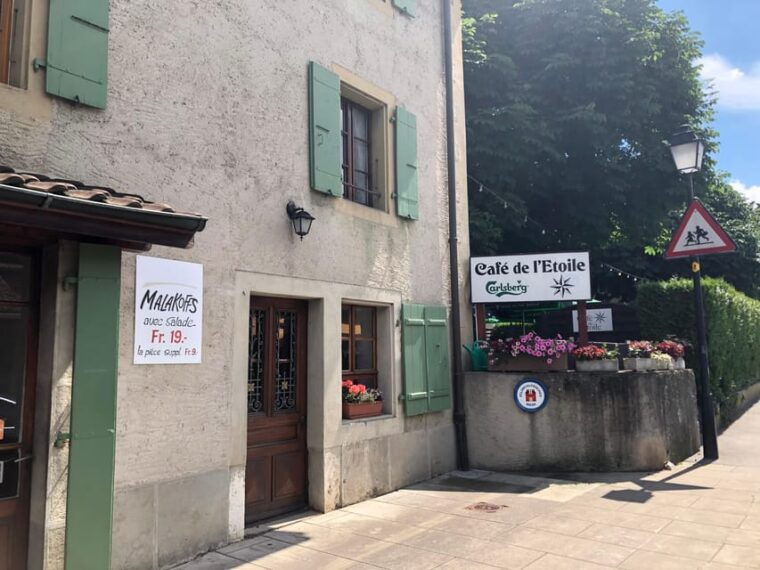 Geneva: Countryside and Wine tasting by E-Bike - Who Is This Tour Best For?
