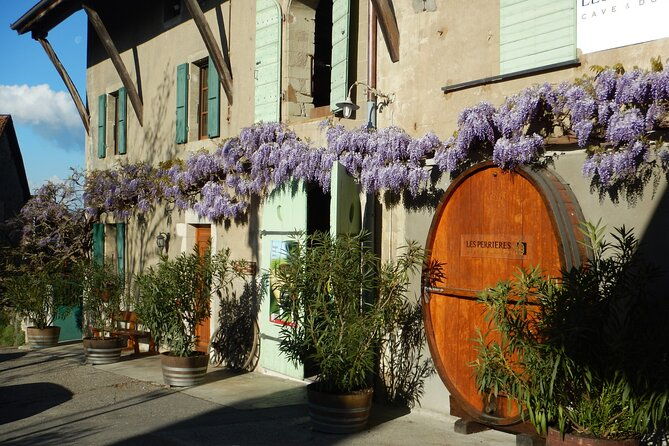 geneva-countryside-by-e-bike-with-wine-tasting