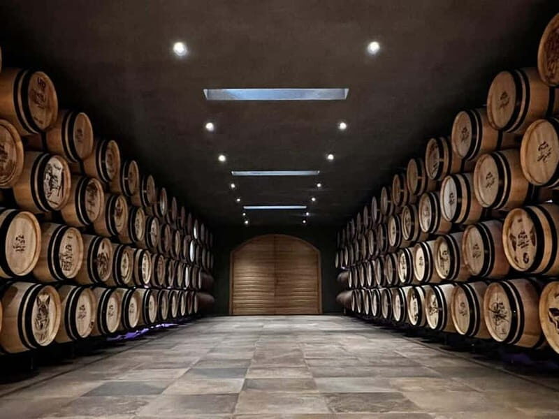 Geneva Countryside, Wine Tasting, Aperitif, Castle By E-bike - A Closer Look at the Itinerary and Experience