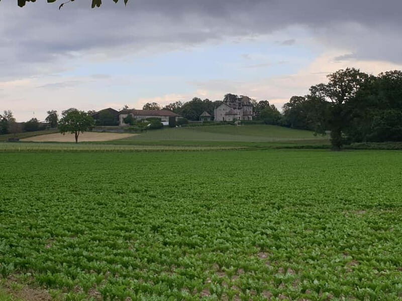 Geneva Countryside, Wine Tasting, Aperitif, Castle By E-bike - FAQs