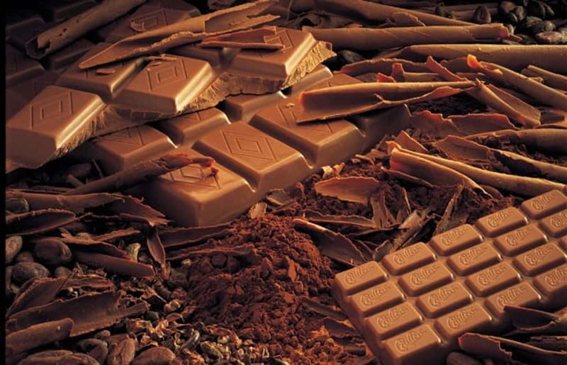 Geneva: Gruyères Tour with Chocolate, Cheese & Golden Train - Practical Considerations