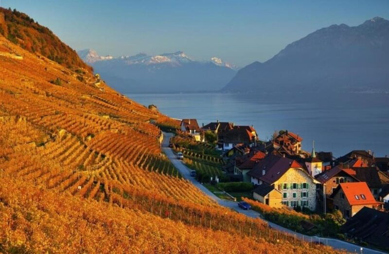 Geneva: Guided wine tour - Key Points