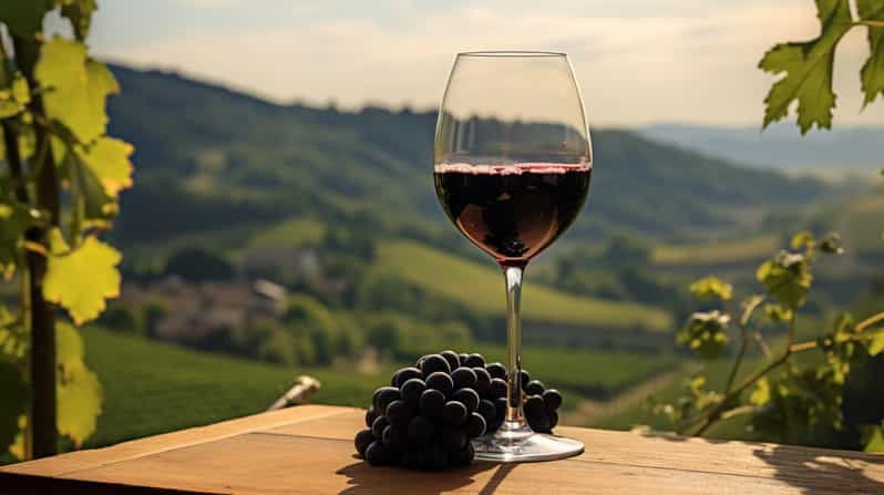 Geneva: Guided wine tour - FAQs