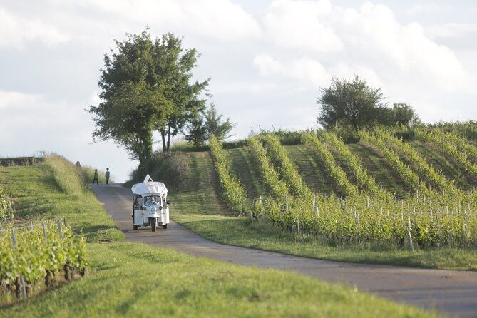 geneva-panoramic-tasting-vineyards-tour-in-an-tuk-tuk-2