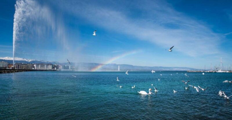 Geneva: Scenic Lake Cruise with Snacks and Wine - Practical Tips for Your Cruise