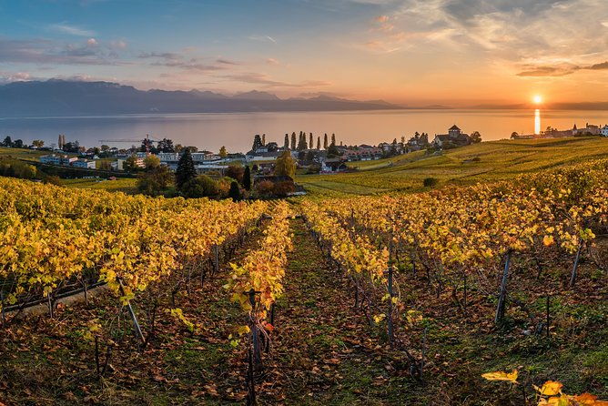 geneva-to-lausanne-montreux-and-chateau-chillon-private-tour-2