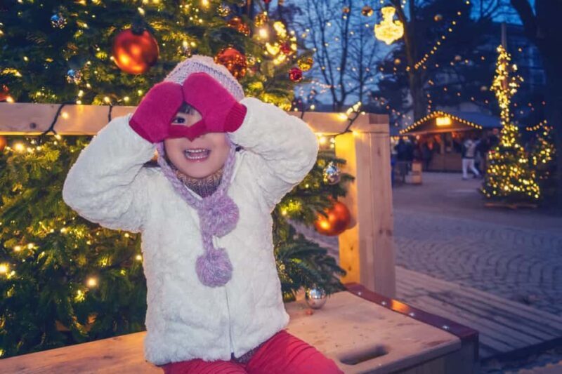 Genevas Winter Wonderland: A Festive Christmas Private Tour - Key Points