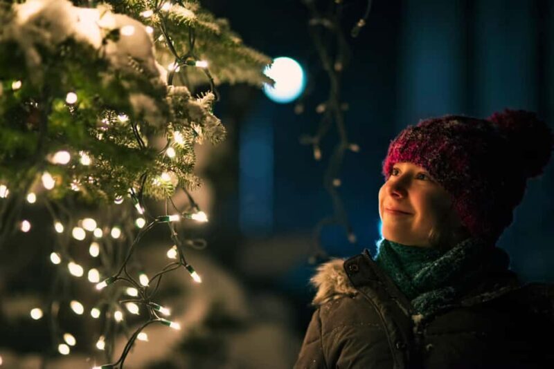 Genevas Winter Wonderland: A Festive Christmas Private Tour - Why This Tour Makes Sense for You