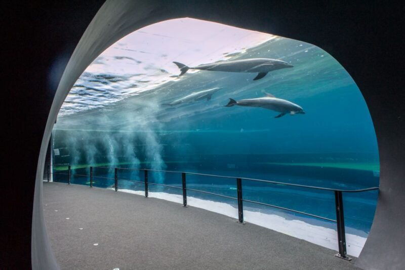 genoa-aquarium-christopher-columbus-house-entry-tickets