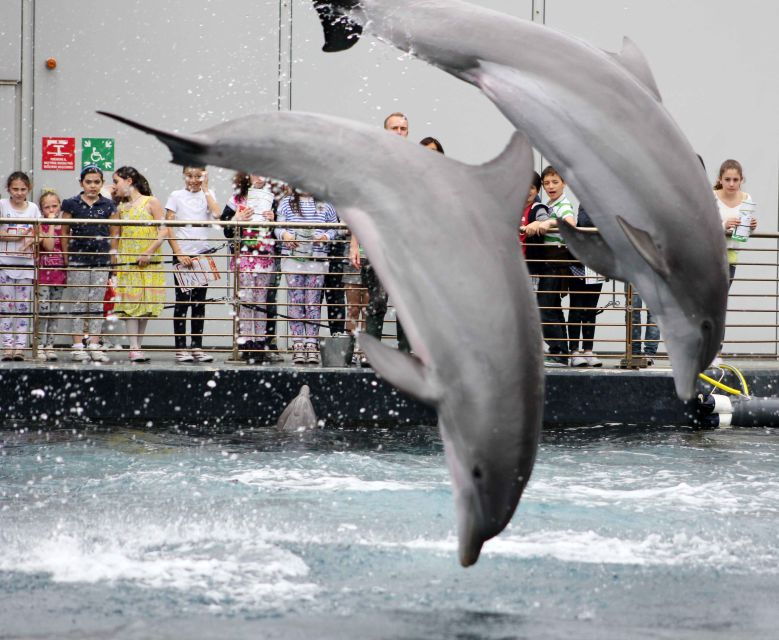 genoa-aquarium-galata-museum-and-submarine-entry-tickets