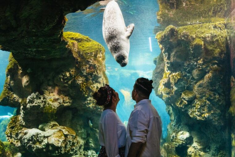 genoa-aquarium-of-genoa-entry-ticket