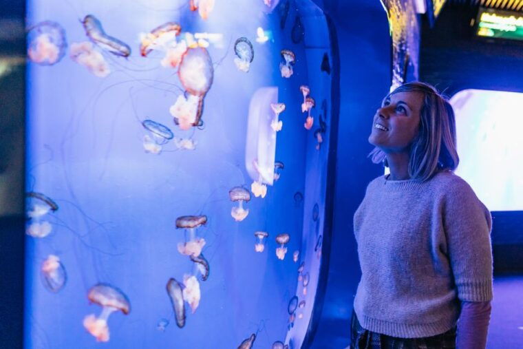 genoa-aquarium-of-genoa-with-lunch