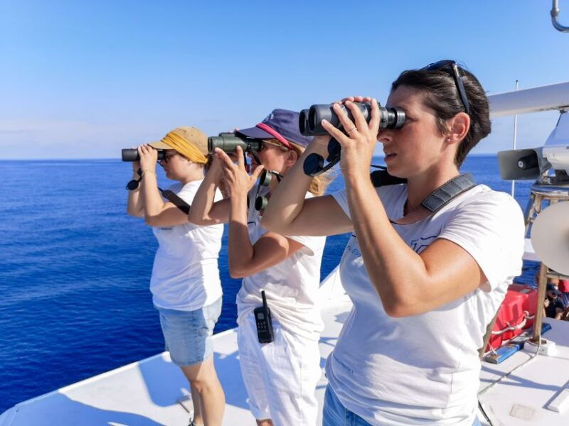 genoa-cetacean-watching-cruise-with-marine-biologist-guide
