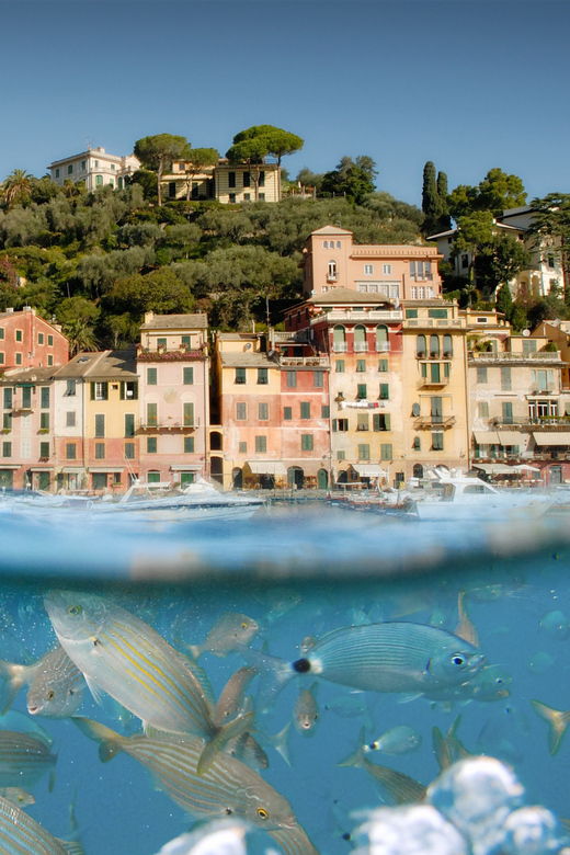 genoa-half-day-tour-to-portofino