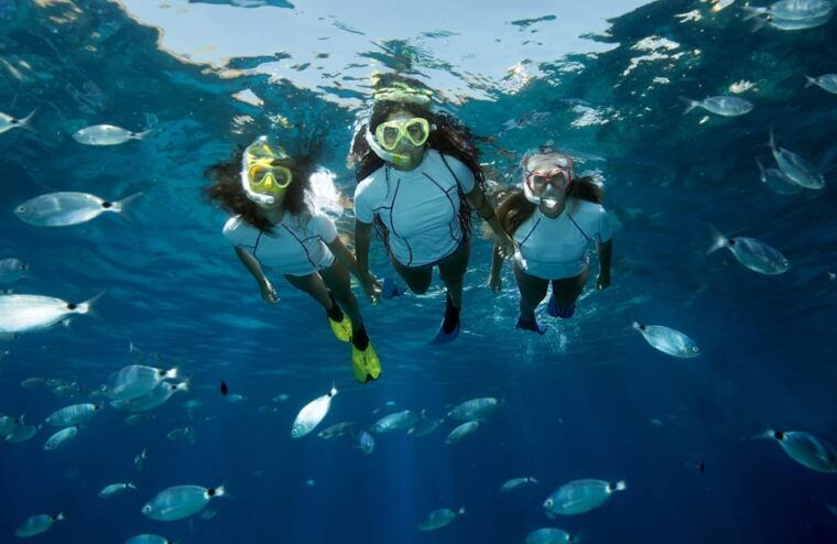 genoa-snorkeling-tour-along-the-genoa-coastline