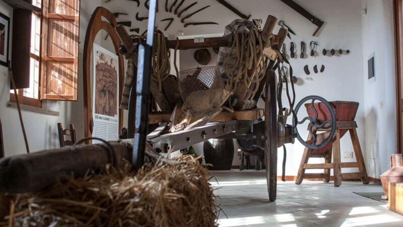 Genoni: discover the Giara Park - Authentic, Family-Friendly, and Educational