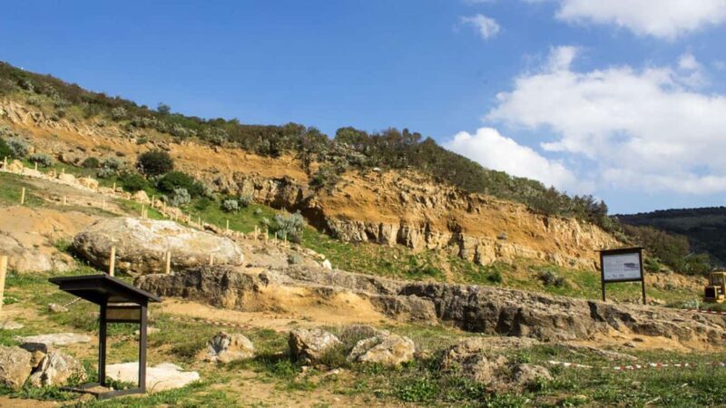 Genoni: discover the Giara Park - Who Would Love This Tour?