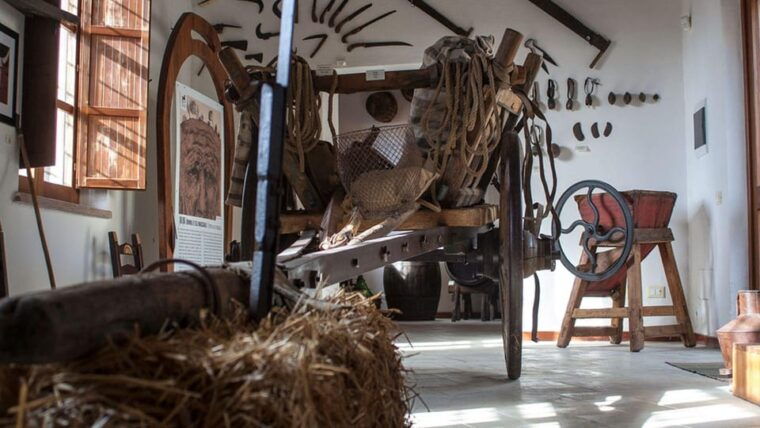 genoni-discover-the-giara-park