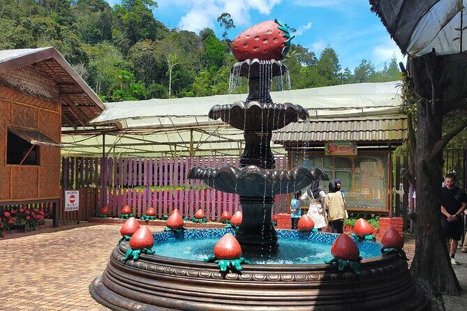 Genting Highlands Day Trip With Skyway Cable Car Ride - Final Thoughts: Who Will Benefit Most?