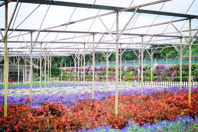 Genting Tour & Batu Caves Tour Include 2-way Cable Car Ride - The Sum Up