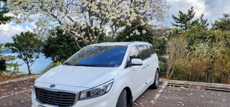 geoje-island-private-or-shared-day-tours-max-6