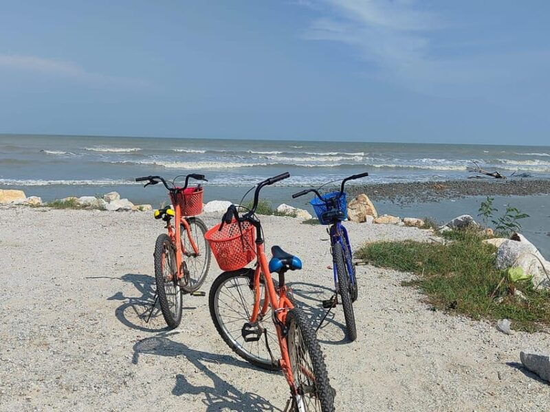 george-town-balik-pulau-countryside-morning-cycling-tour