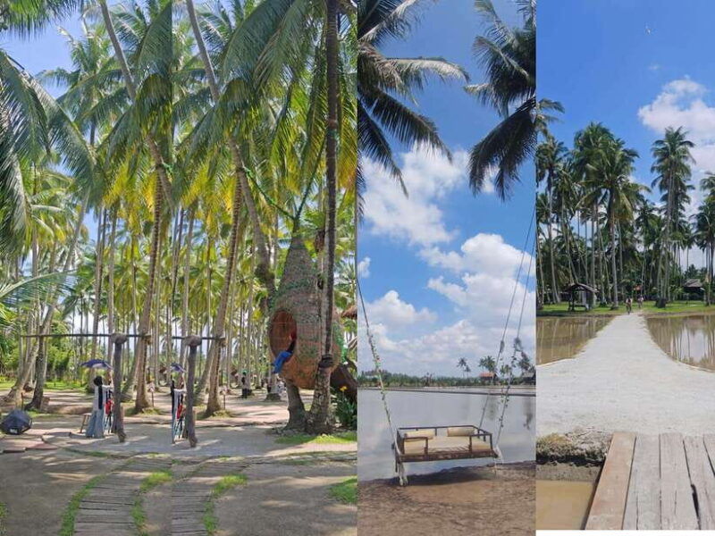 george-town-penang-customizable-private-tour