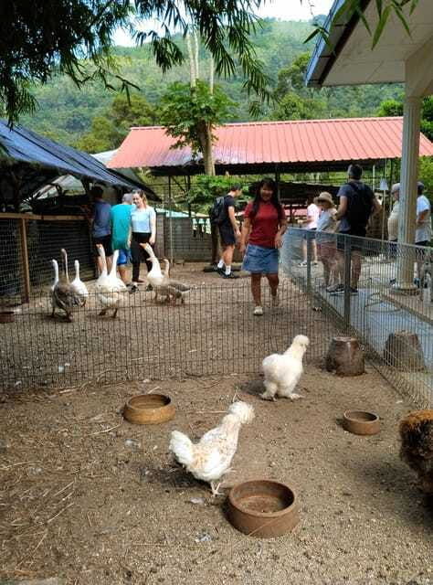 george-town-penang-malay-countryside-cycling