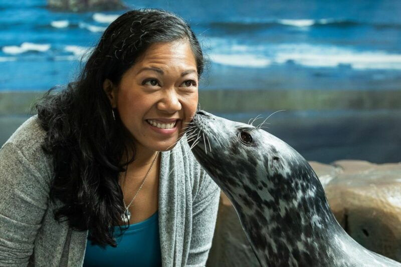 georgia-aquarium-sea-lion-encounter