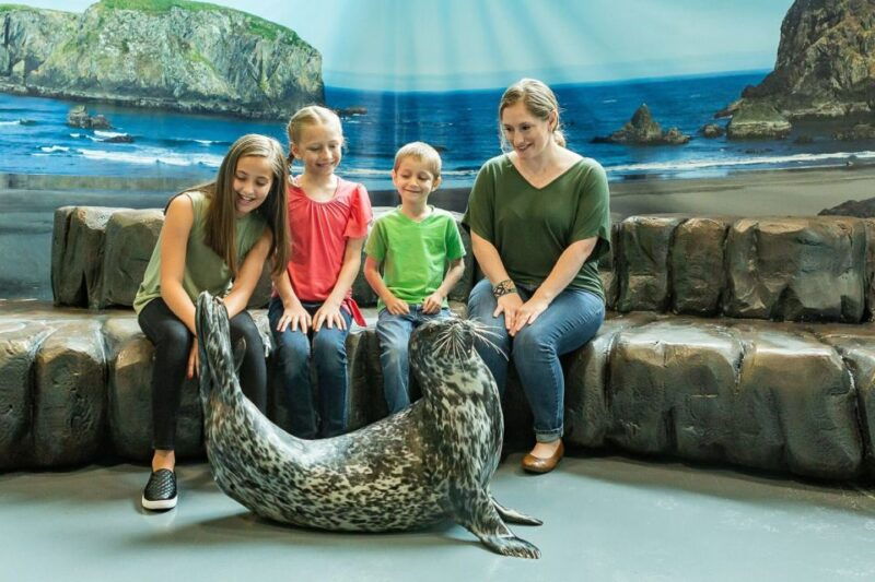 georgia-aquarium-sea-lion-encounter