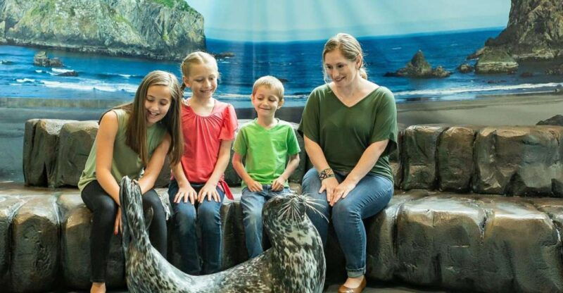 georgia-aquarium-sea-lion-encounter